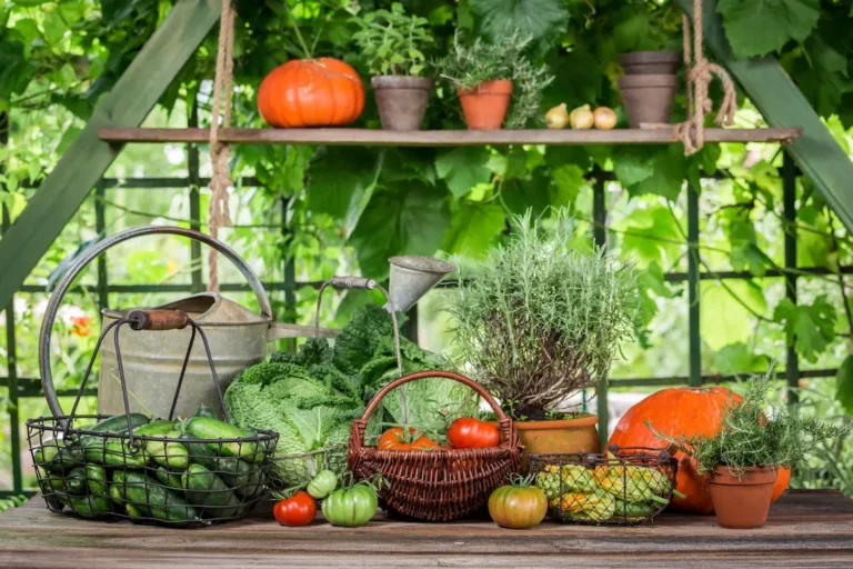 Huerta en casa